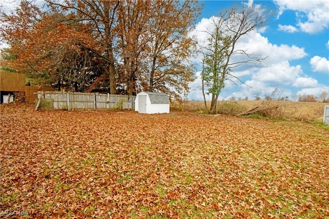 view of yard with a storage unit