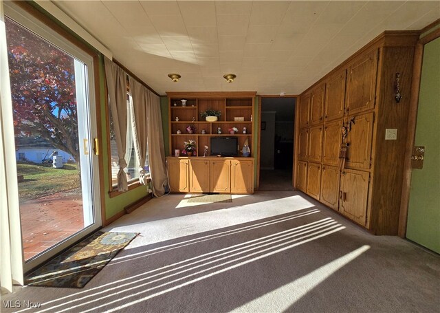 interior space featuring plenty of natural light