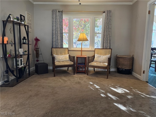 sitting room featuring carpet flooring and crown molding