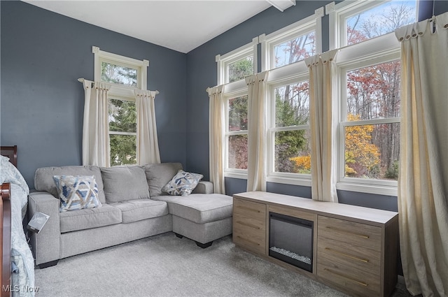 living room with carpet flooring