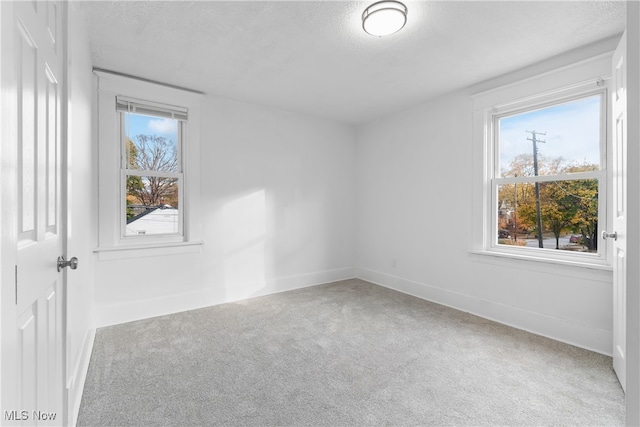 empty room featuring plenty of natural light, a textured ceiling, and carpet floors