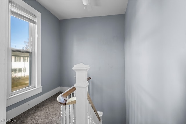 stairs with carpet and a healthy amount of sunlight