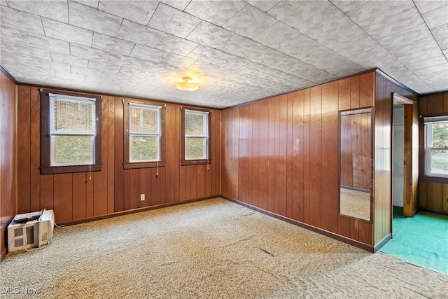 unfurnished room with wooden walls and carpet