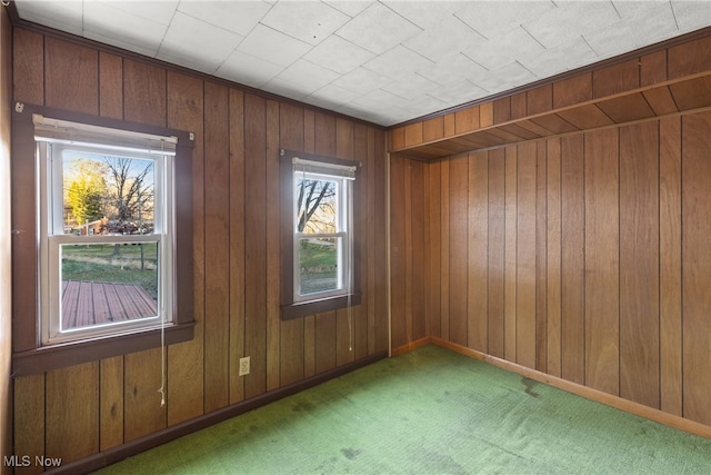 carpeted empty room featuring wooden walls