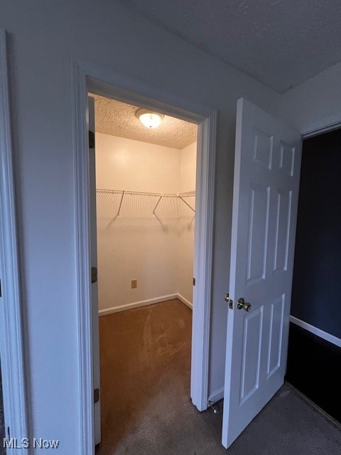 walk in closet featuring dark colored carpet