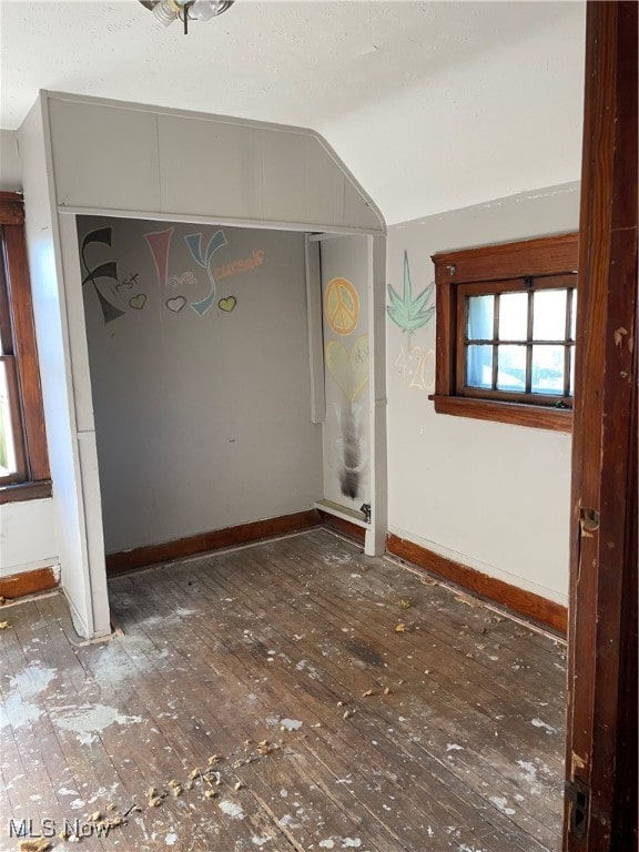 unfurnished room featuring lofted ceiling and wood-type flooring