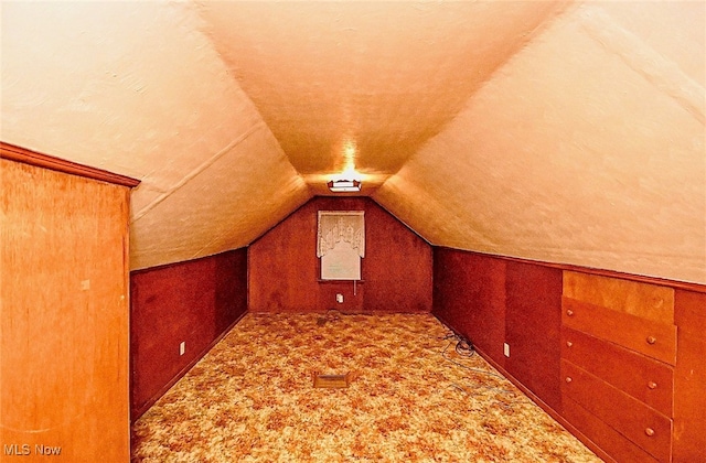 additional living space featuring lofted ceiling and carpet flooring