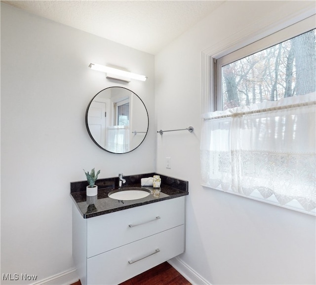 bathroom featuring hardwood / wood-style floors and vanity