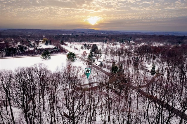 view of snowy aerial view