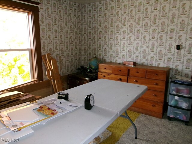 interior space with a healthy amount of sunlight and carpet