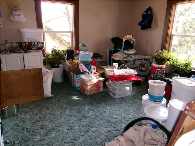 miscellaneous room featuring plenty of natural light and carpet flooring