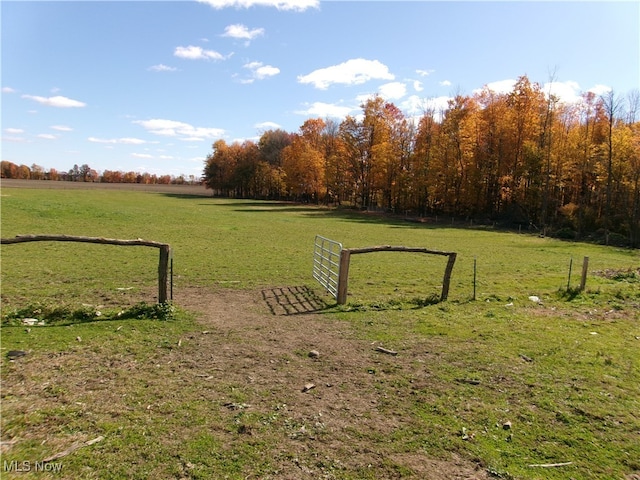 view of yard featuring a rural view