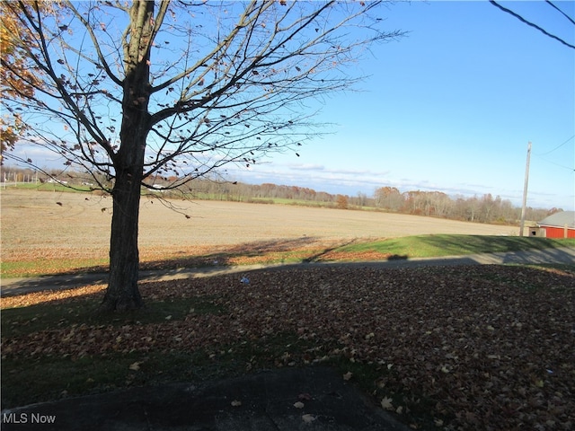 view of yard featuring a rural view