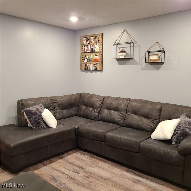 living room featuring a textured ceiling and hardwood / wood-style flooring