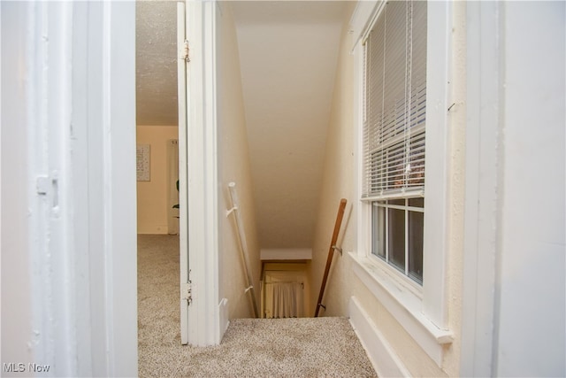 corridor featuring carpet