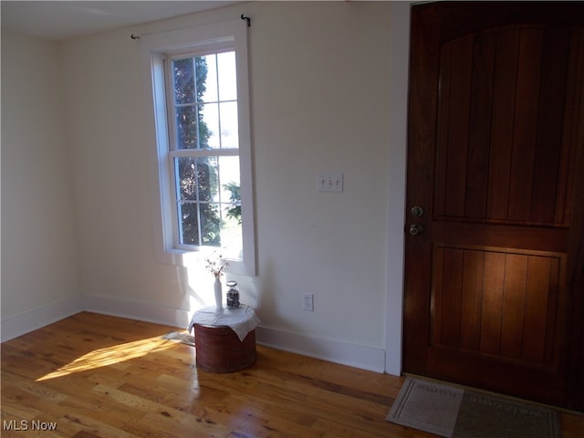 entryway featuring hardwood / wood-style floors