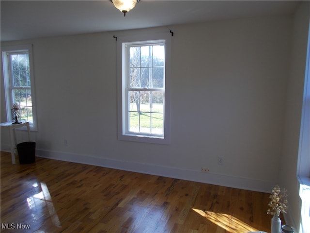 empty room featuring wood-type flooring