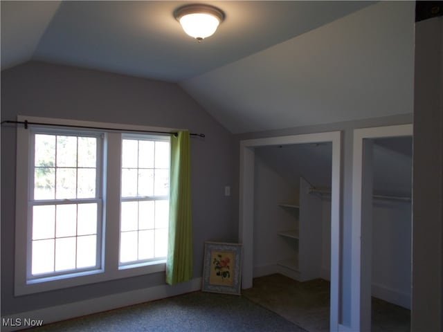 additional living space featuring carpet flooring and vaulted ceiling