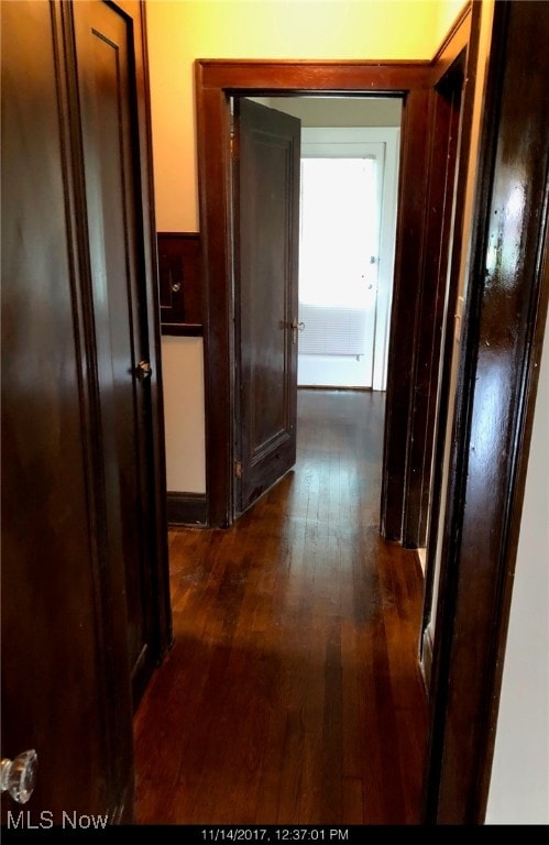 hallway featuring dark hardwood / wood-style floors