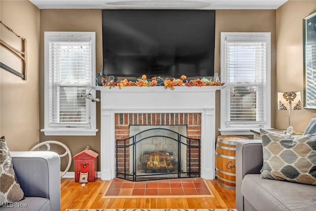 living room featuring a fireplace and wood-type flooring