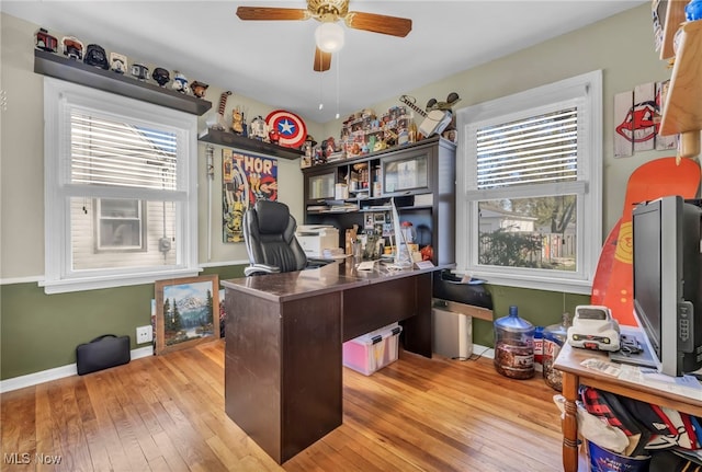 office area featuring ceiling fan and light wood-type flooring