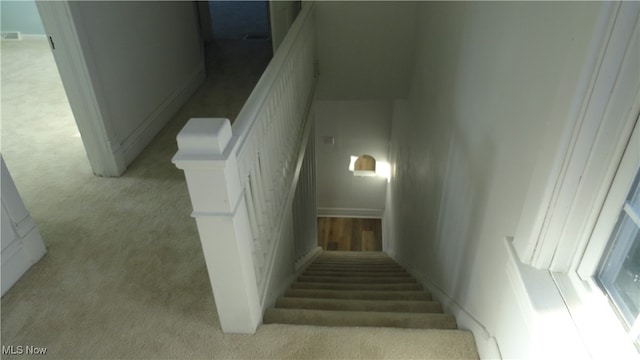 staircase featuring carpet flooring