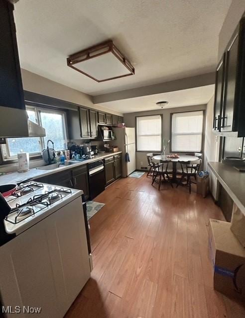 kitchen featuring sink, light wood-type flooring, white appliances, and ventilation hood