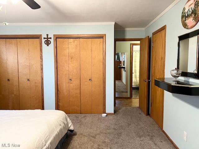 bedroom featuring ceiling fan, multiple closets, and carpet