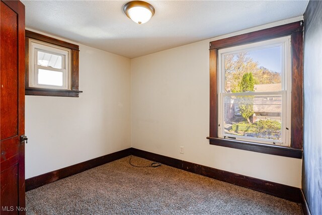 carpeted spare room featuring plenty of natural light