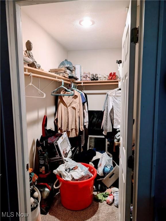 walk in closet with carpet floors