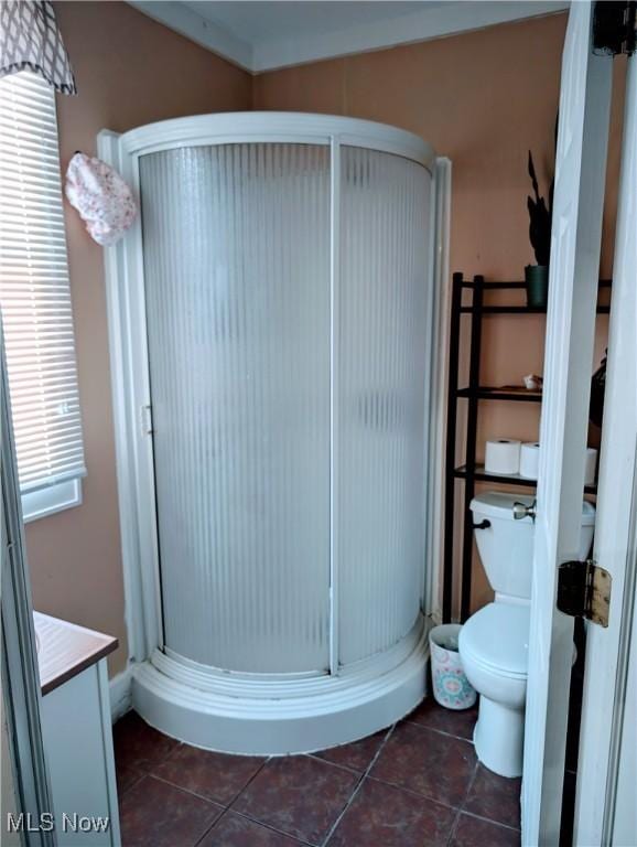 bathroom featuring vanity, an enclosed shower, and plenty of natural light