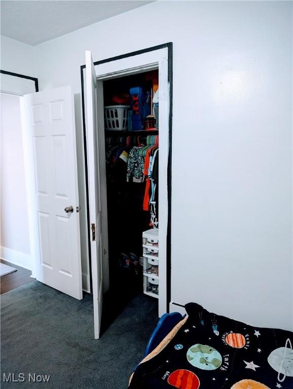 view of closet