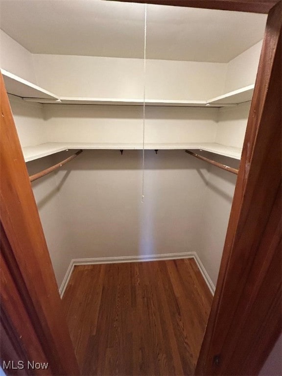 walk in closet featuring hardwood / wood-style flooring