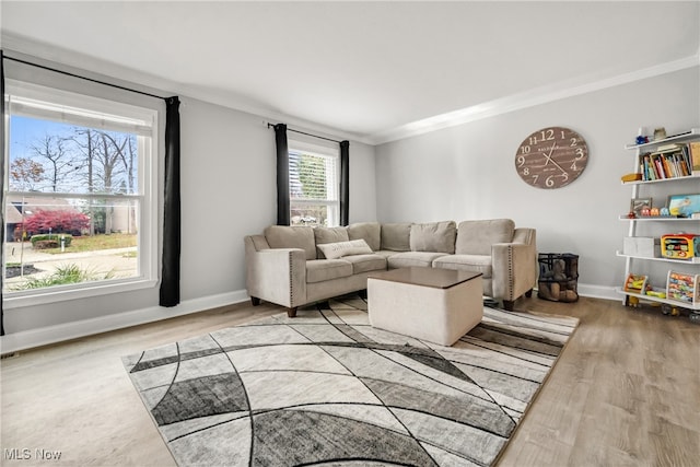 living room featuring wood-type flooring and ornamental molding