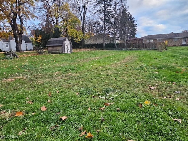 view of yard with a storage shed