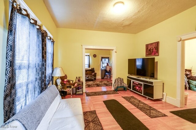 living room featuring a textured ceiling and hardwood / wood-style flooring