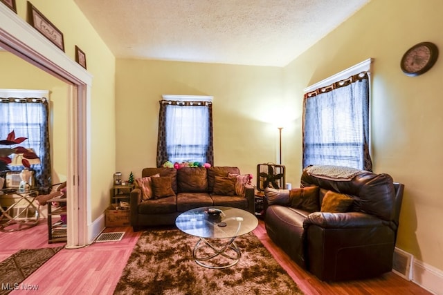 living room featuring hardwood / wood-style flooring, plenty of natural light, and a textured ceiling