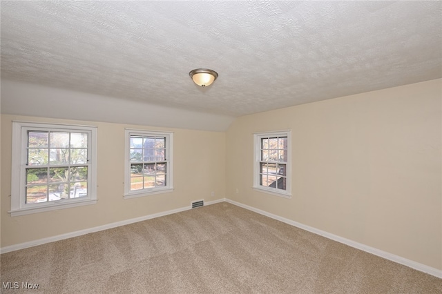 empty room with carpet, a textured ceiling, and a wealth of natural light