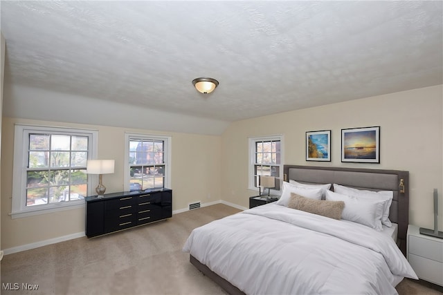 bedroom featuring light colored carpet, a textured ceiling, and multiple windows