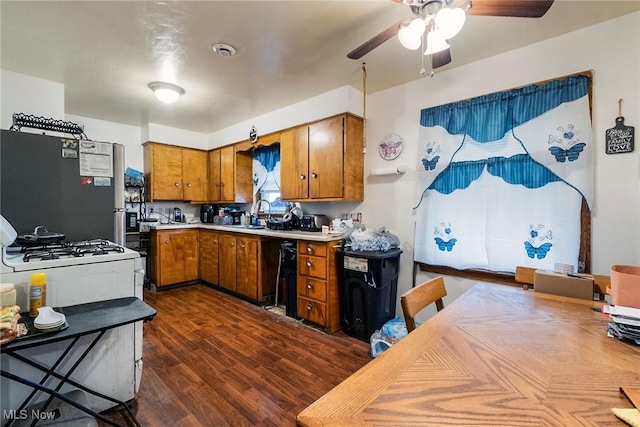 kitchen with stainless steel refrigerator, ceiling fan, dark wood-type flooring, and sink