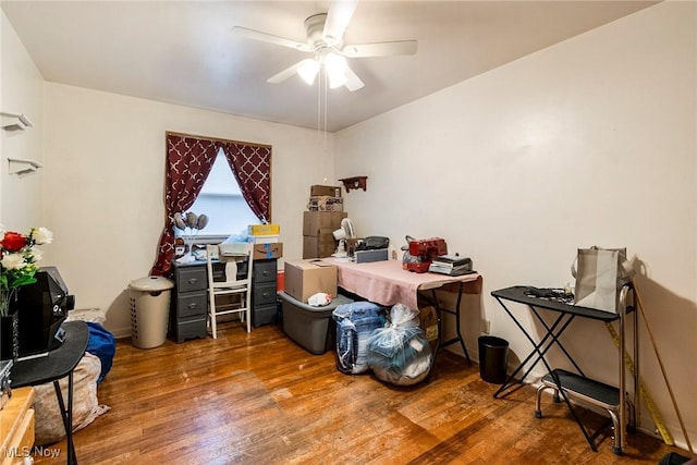 office with ceiling fan and dark hardwood / wood-style flooring