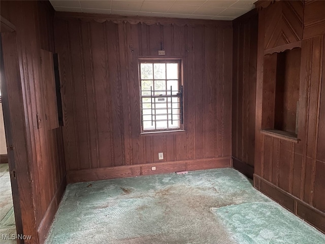 spare room with wooden walls and carpet floors