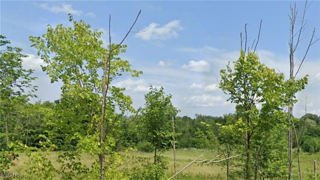 7687 Ravenna Rd, Hudson OH, 44236 land for sale