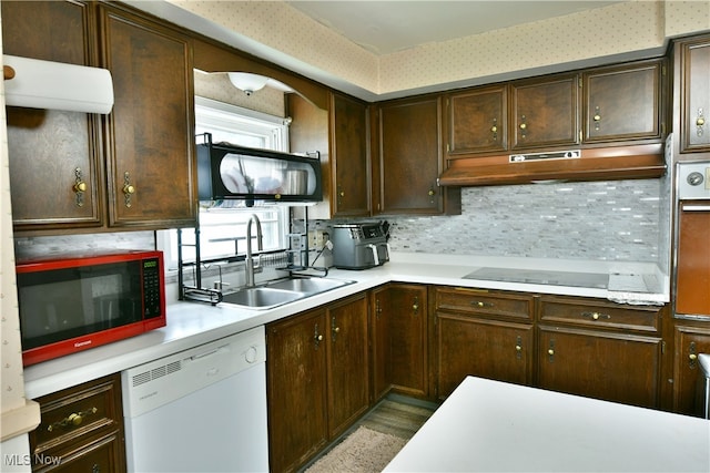 kitchen featuring black electric cooktop, white dishwasher, decorative backsplash, dark brown cabinetry, and sink