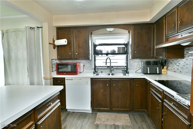 kitchen featuring dark brown cabinetry, sink, white dishwasher, dark hardwood / wood-style floors, and backsplash