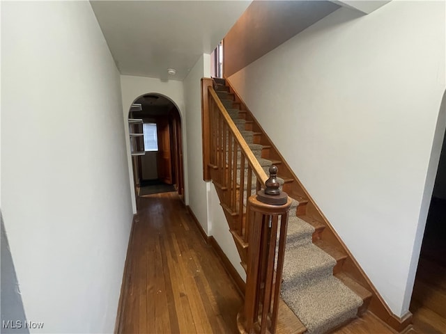 staircase featuring hardwood / wood-style flooring