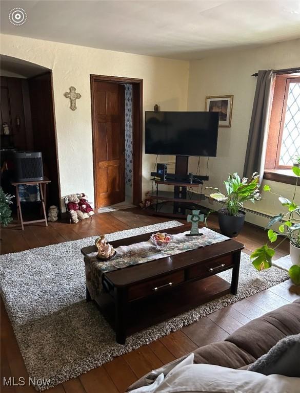 living room with wood-type flooring