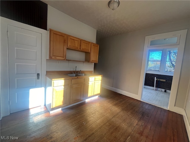 kitchen featuring dark wood-type flooring and sink