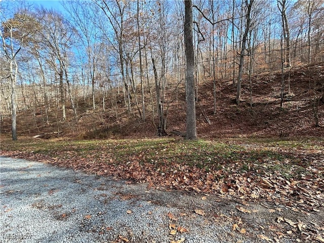 2886 Ossia Rd, Duck, WV 25063 - view of undeveloped land