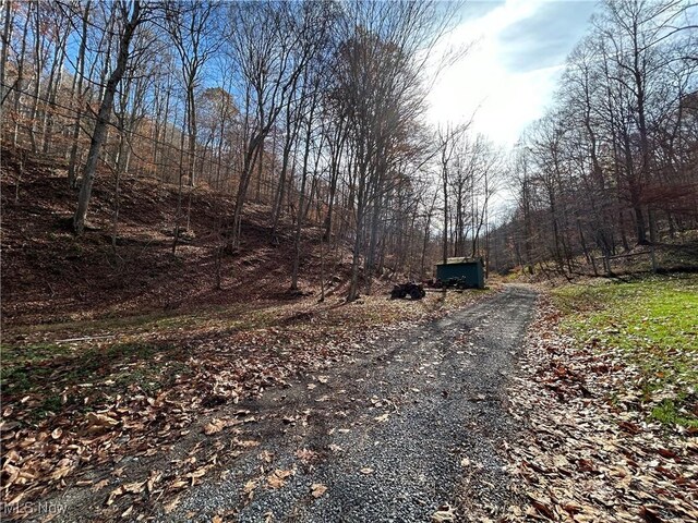 2886 Ossia Rd, Duck, WV 25063 - view of dirt / gravel road